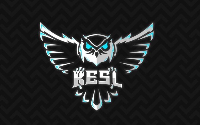 Анонсирована Белорусская киберспортивная студенческая лига по CS:GO и Dota 2