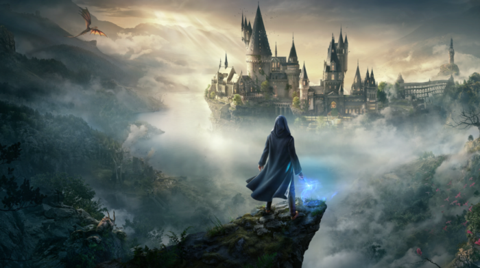 Обеспокоенные фанаты Hogwarts Legacy создали петицию о второй части игры