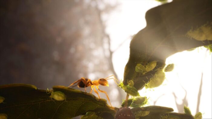 Смотрим трейлер игры с фото—реалистичной графикой про муравьев