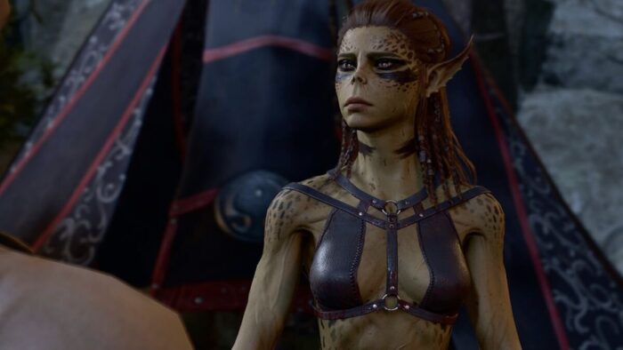 Установлен мировой спидран по сексу в Baldur′s Gate 3