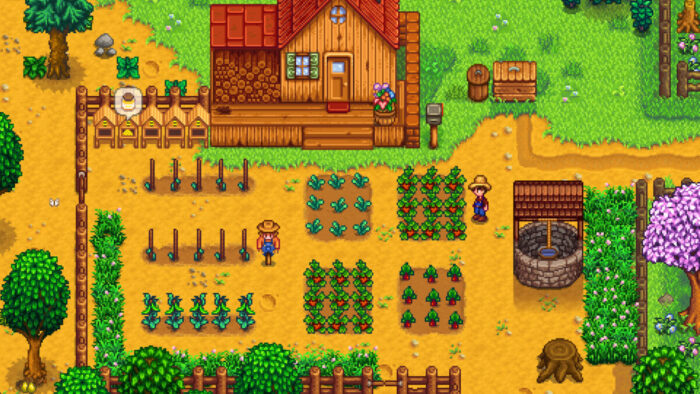 После использования глитча в Stardew Valley, вашего героя изобьют и отправят на больничную койку