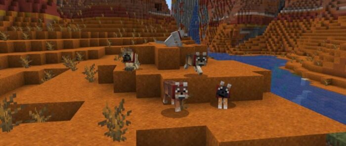 Mojang добавит в Minecraft восемь новых вариаций волков — сообщество в восторге
