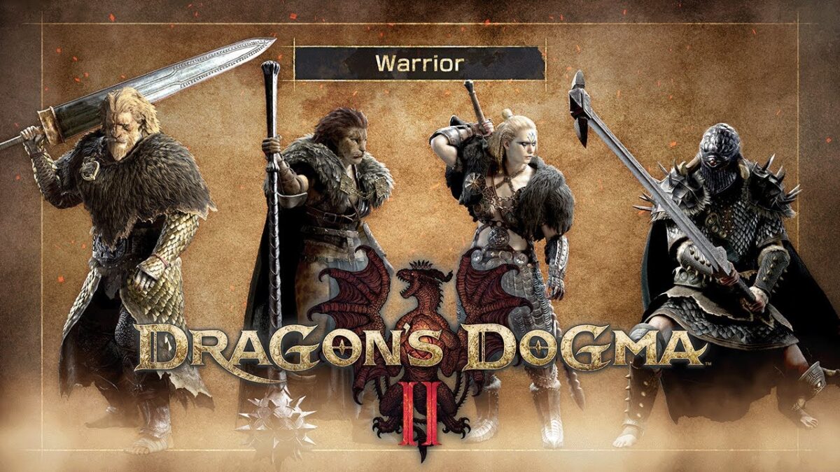 Dragons dogma 2 warrior. Драгон догма 2 расы. Классы dragons dogma 2. Dragons dogma 2 warrior. Dragon s dogma.
