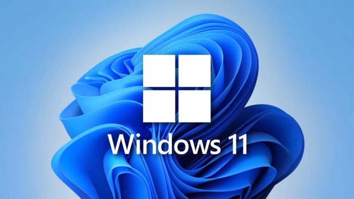 Windows 11 впервые обогнала Windows 10 по популярности